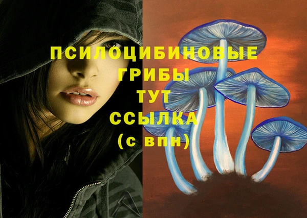 стаф Алексеевка