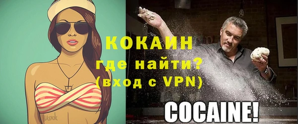 дживик Арсеньев