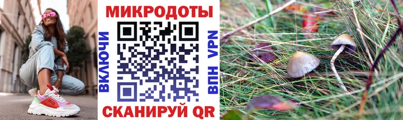 Галлюциногенные грибы GOLDEN TEACHER Малоархангельск